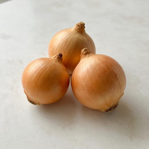 Лук